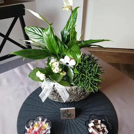 Berger 보홀트